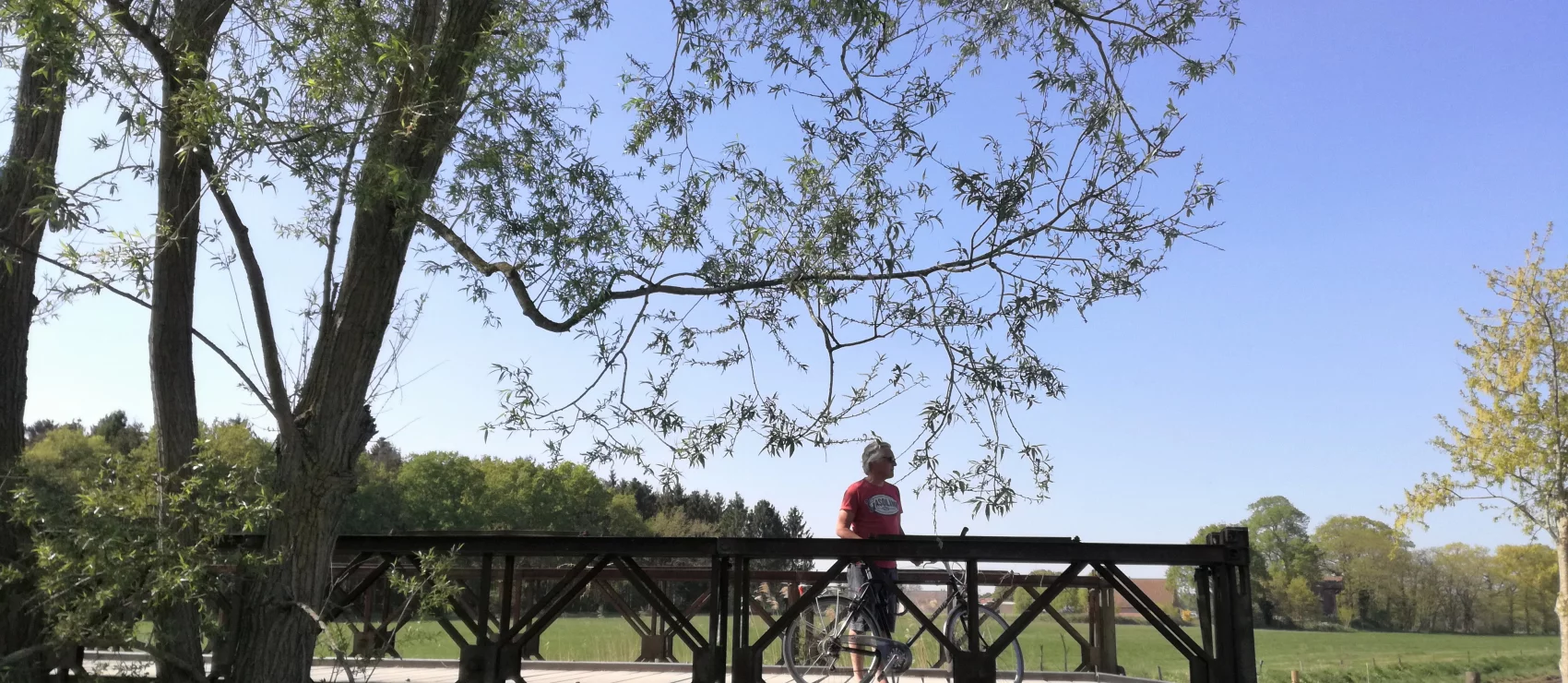 Marumwandeling