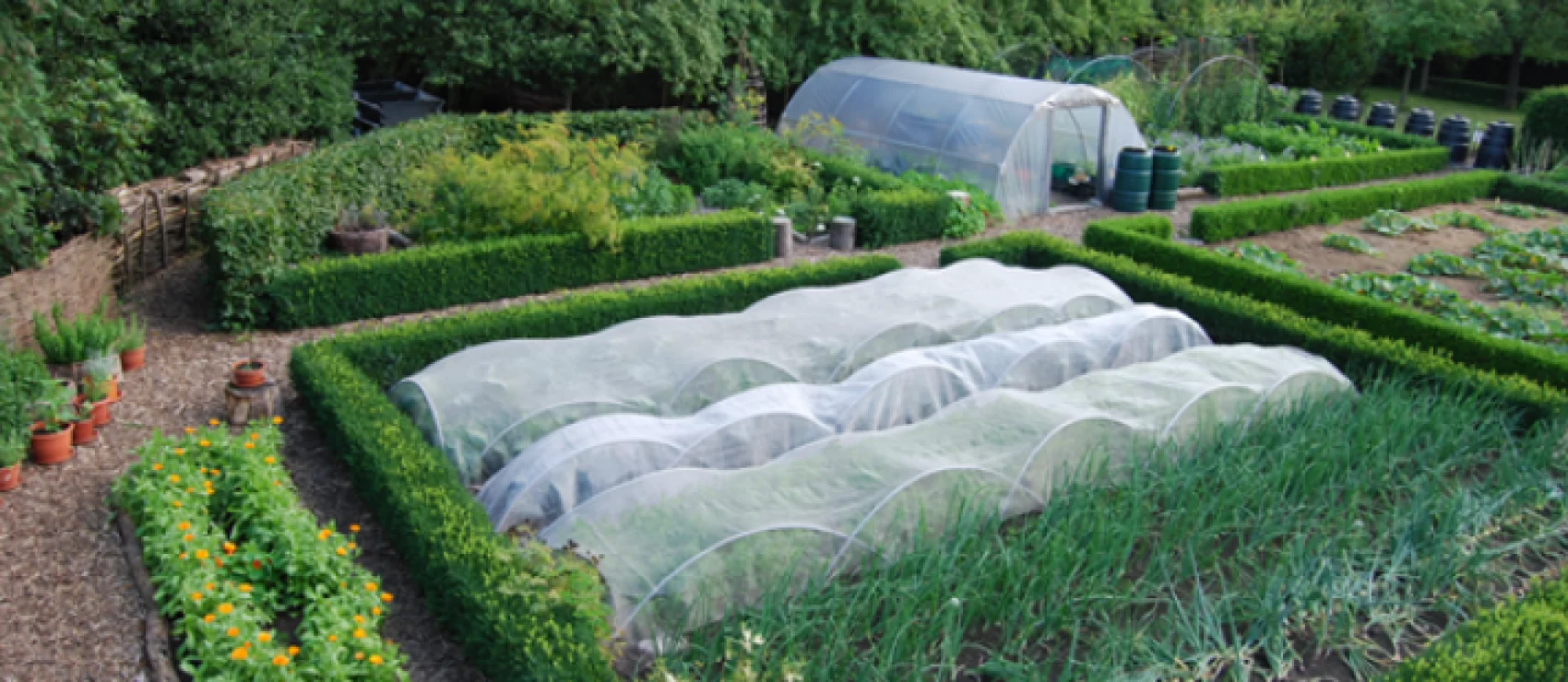 Biologische nuts- en kringlooptuin Gemeente Brecht
