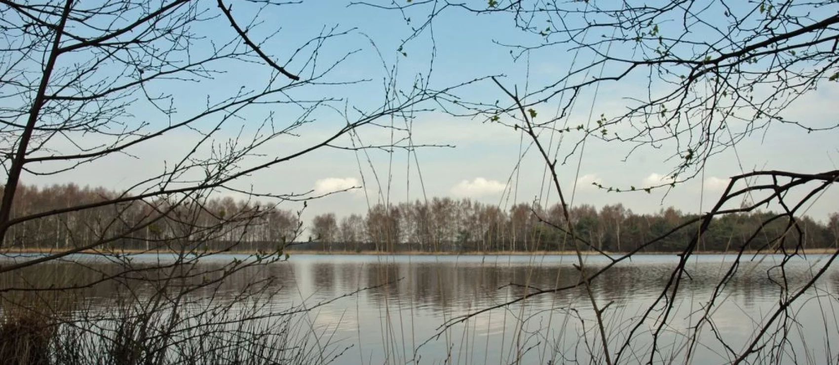 Marmerven