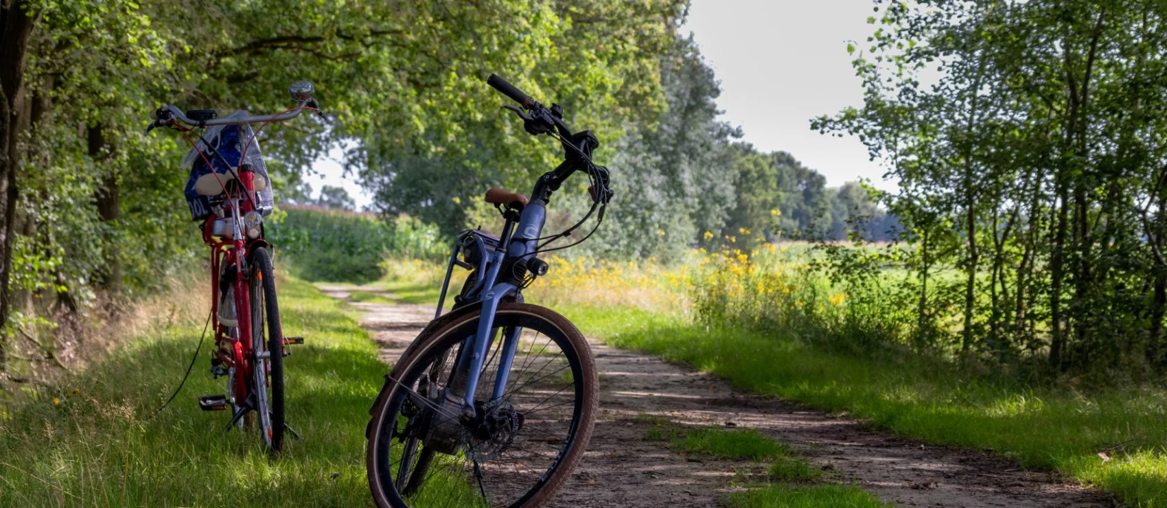 Fietsknooppuntennetwerk