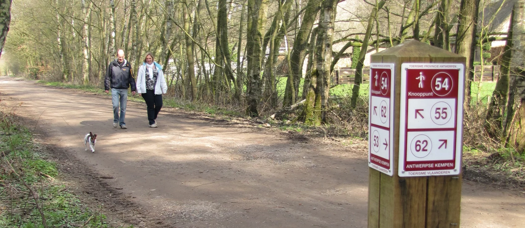 Wandelnetwerken