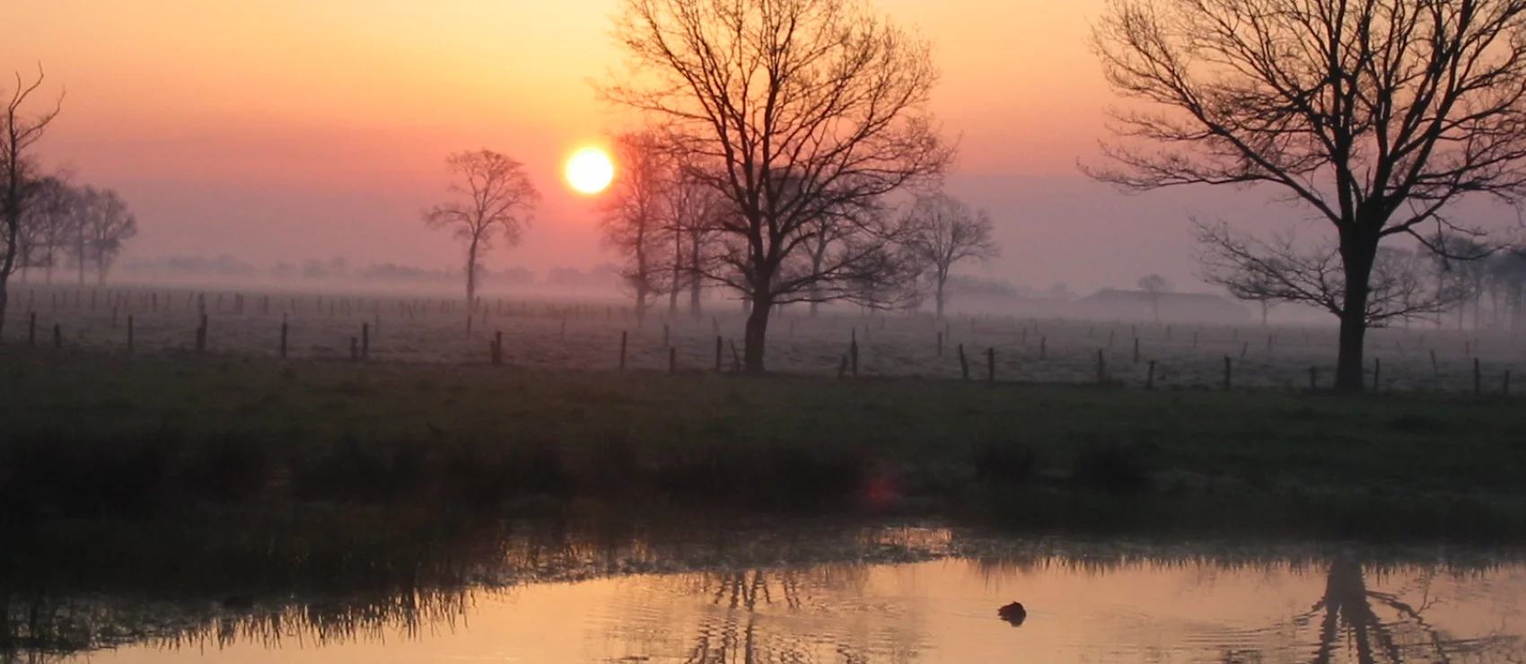 Brechtse heide
