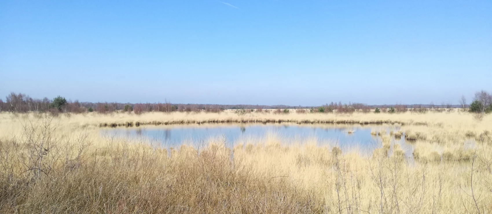 Groot Schietveld / Marum