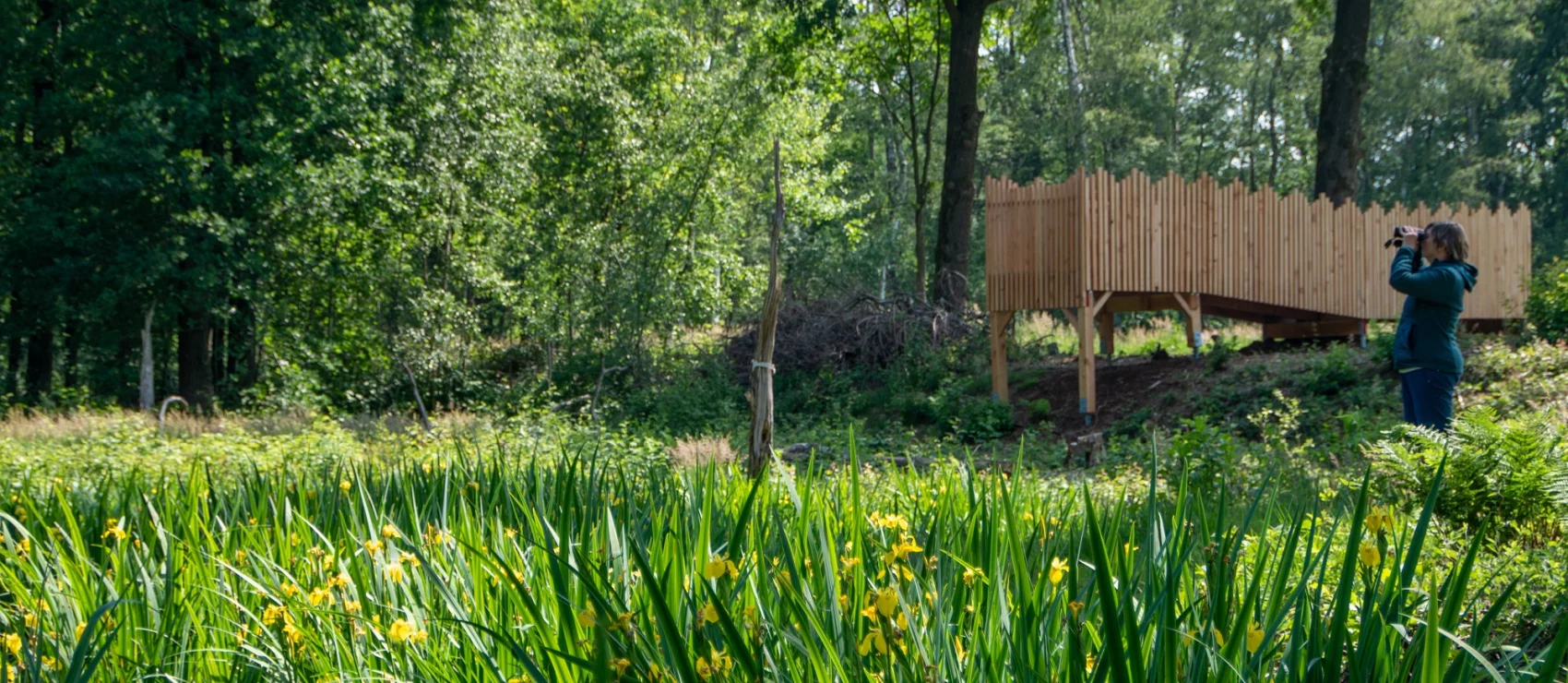 Kooldries-Hoofsweer en (h)oogverblindend landschap