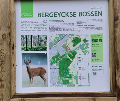 Bergeyckse bossen