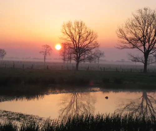 Brechtse Heide